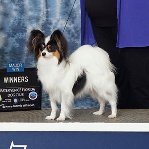 Meet your Posher, Lori